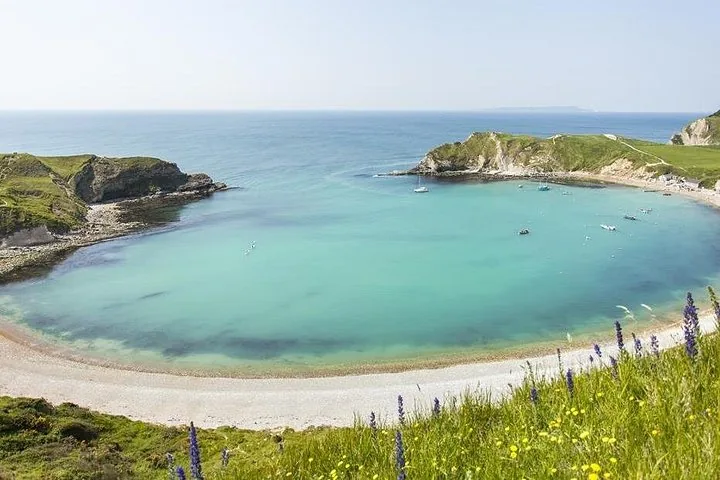 Wunderschöne Lulworth Cove mit türkisfarbenem Wasser, umgeben von grünen Küstenklippen.